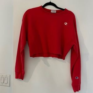 Cropped champion sweatshirt